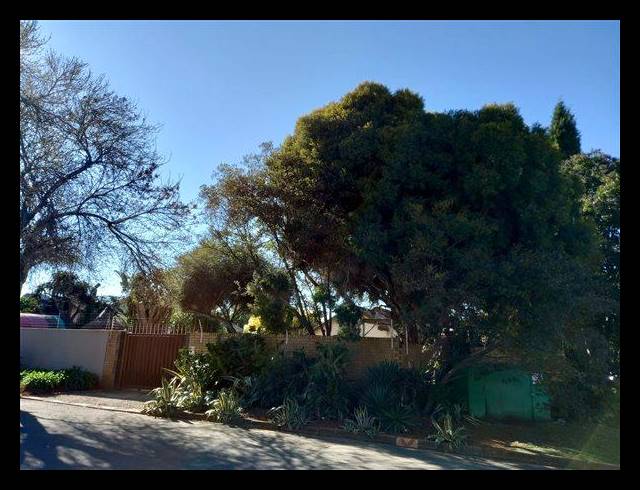 3 BEDROOM HOUSE FOR SALE IN BIRCHLEIGH